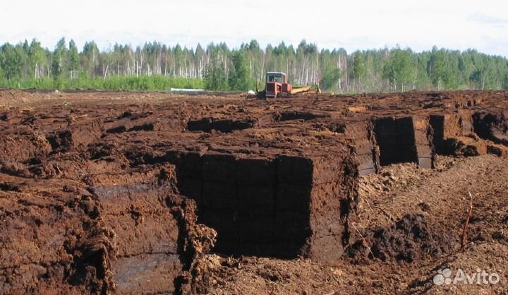 Низовой,глубинный,чистый,торф, камаз 5,10,20 куб