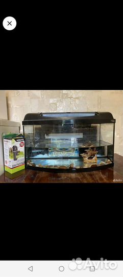 Pearl аквариум