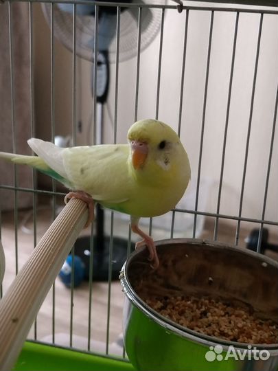 Мальчик 4 месяца