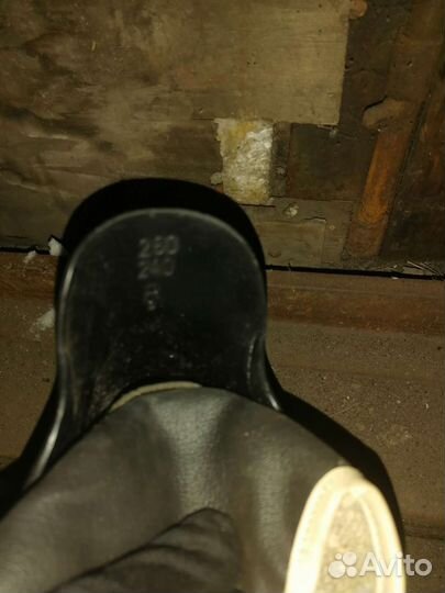 Коньки Сальво