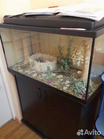 Аквариум