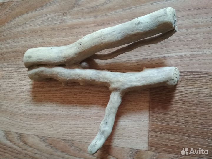 Коряги дрифтвуд