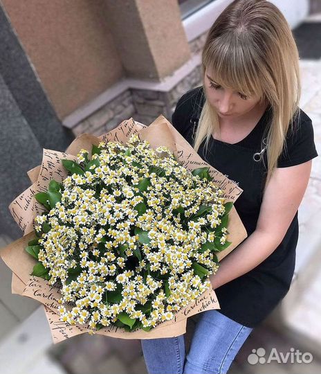 Цветы ромашки. Букеты ромашек. Цветы доставка