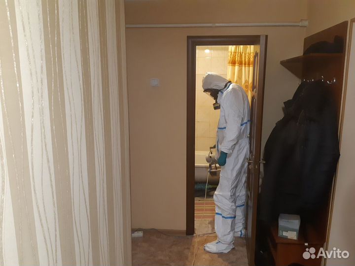 Обработка клопов тараканов комаров тли ос блох