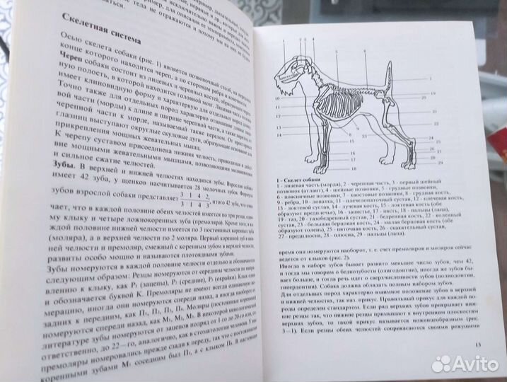 Атлас пород собак