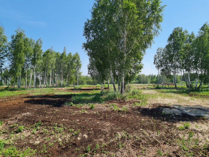 Участок 6 сот. (СНТ, ДНП)