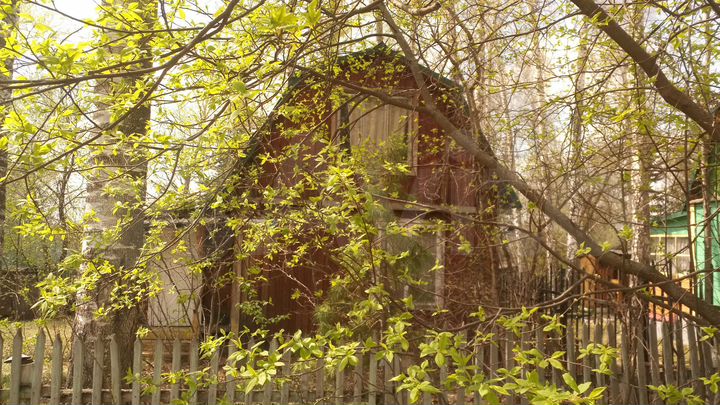 Дача 50 м² на участке 4 сот.