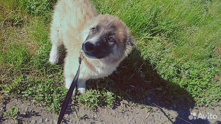 Милая девочка среднего размера