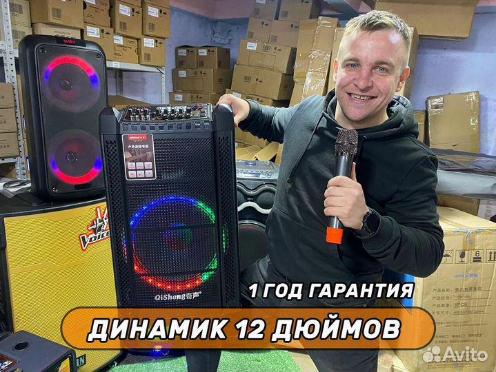 Колонка QiSheng с микрофоном и караоке