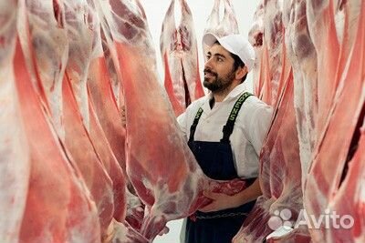 Боец скота с питанием