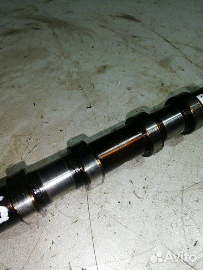 Распредвал впускной Volkswagen Passat B6 2.0 BPY