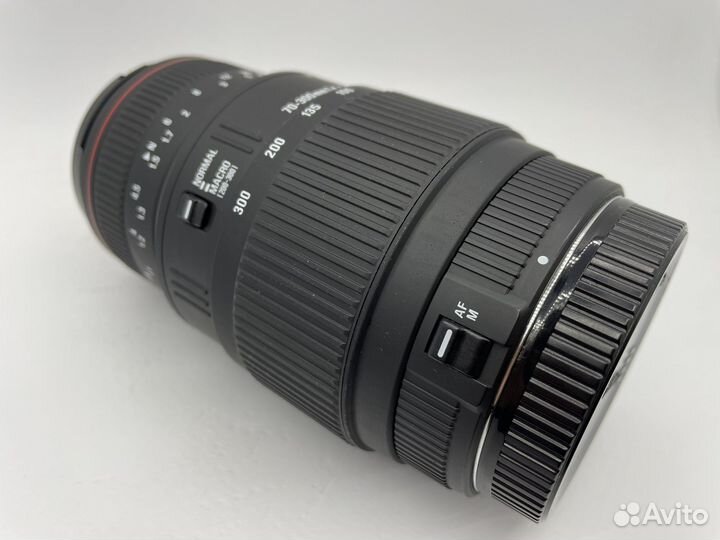 Sigma AF 70-300mm f/4-5.6 Macro Canon