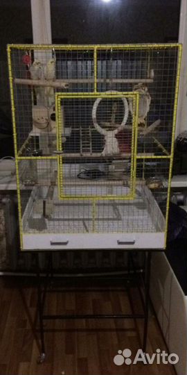 Клетка для птиц