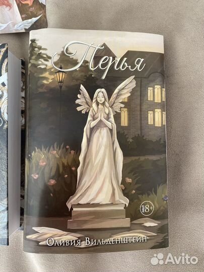 Книга и мерч