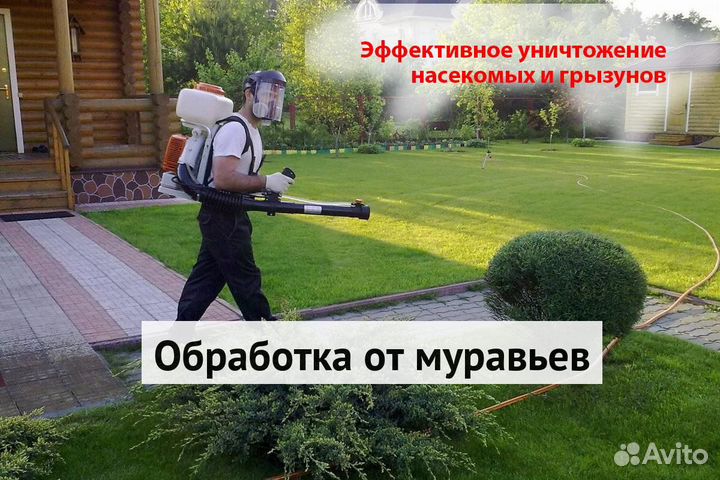 Уничтожение клопов тараканов грызунов блох плесени