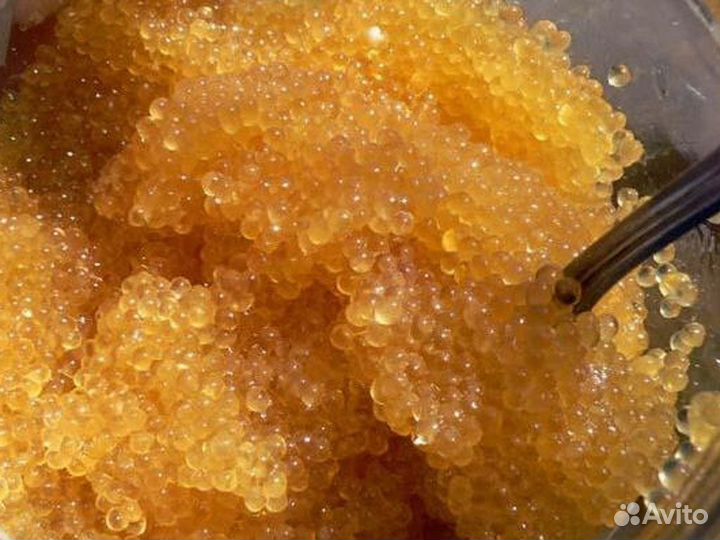 Икра щуки свежая