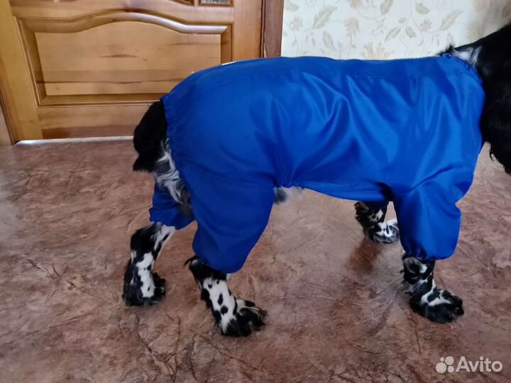 Дождевик комбинезон для собаки