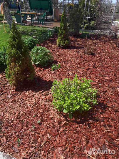 Кора сибирской лиственницы(мульча)