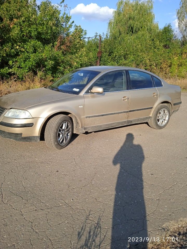 Volkswagen Passat: фото владельца