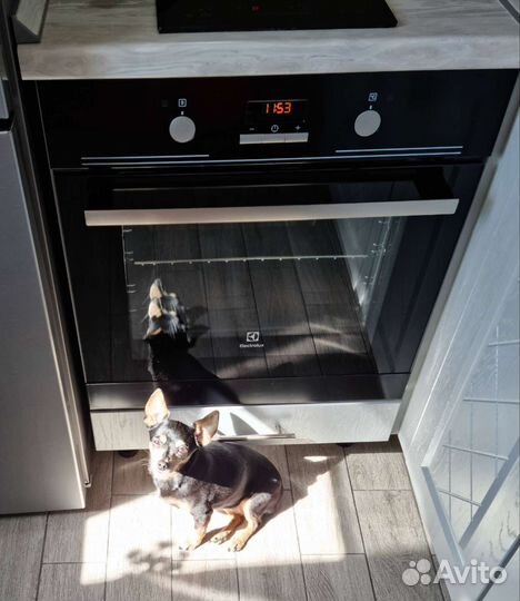 Духовой шкаф electrolux