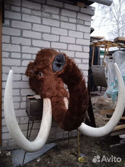 Голова мамонта