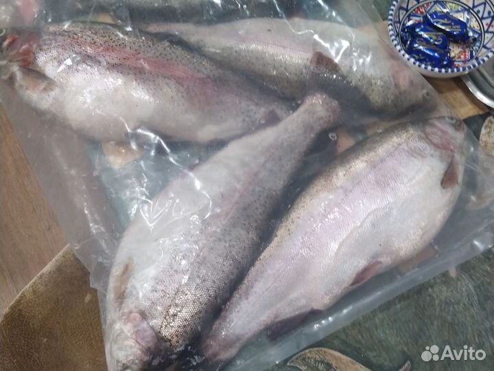 Форель свежемороженная