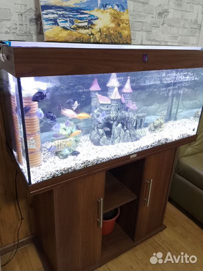 Аквариум с тумбой juwel