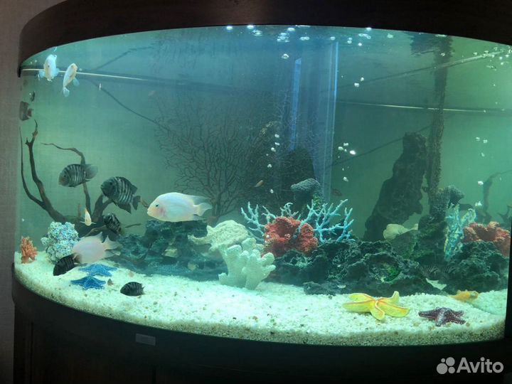 Перевозка аквариумов под ключ