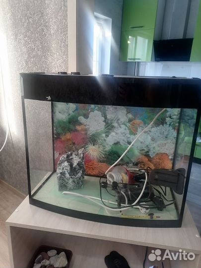 Аквариум