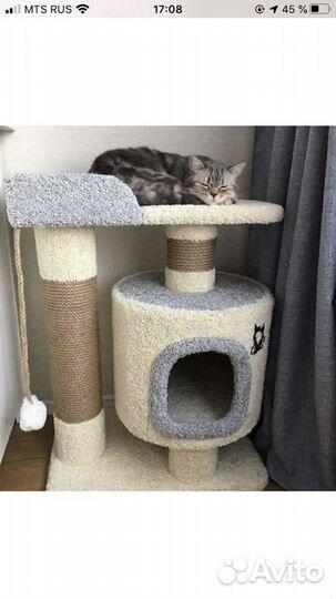 Домики для кошек, когтеточки, комплексы