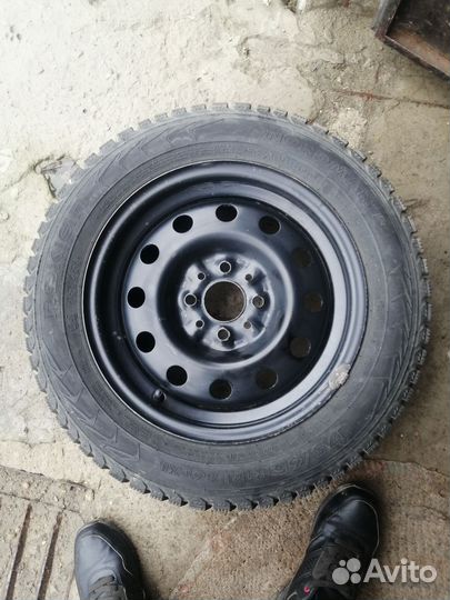 Nordman 5 175/65 R14