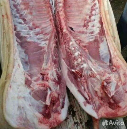 Мясо свинина