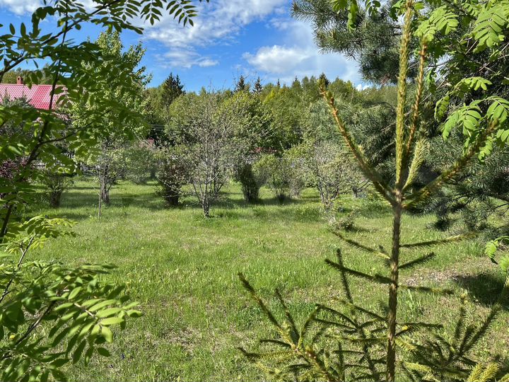 Участок 10 сот. (ИЖС)