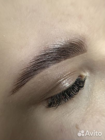 Мастер бровист