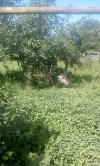 Участок 12 сот. (СНТ, ДНП)