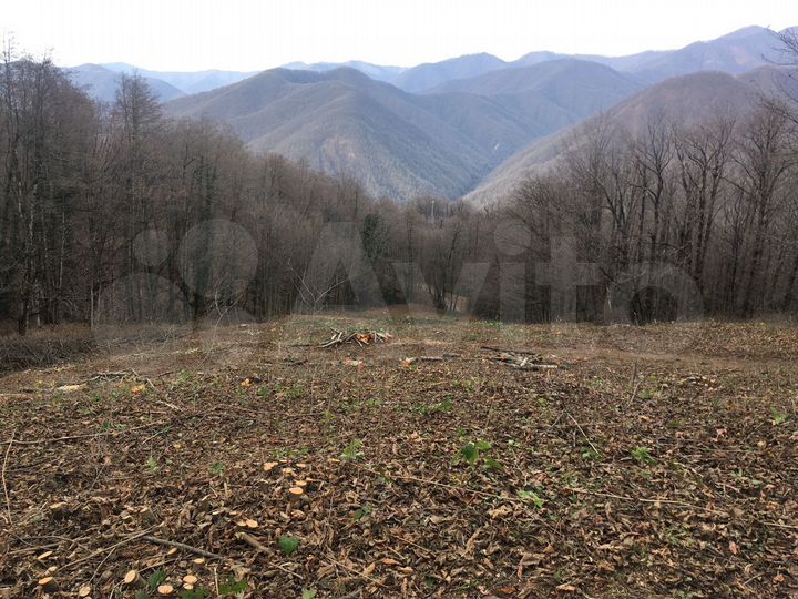 Участок 94 сот. (СНТ, ДНП)