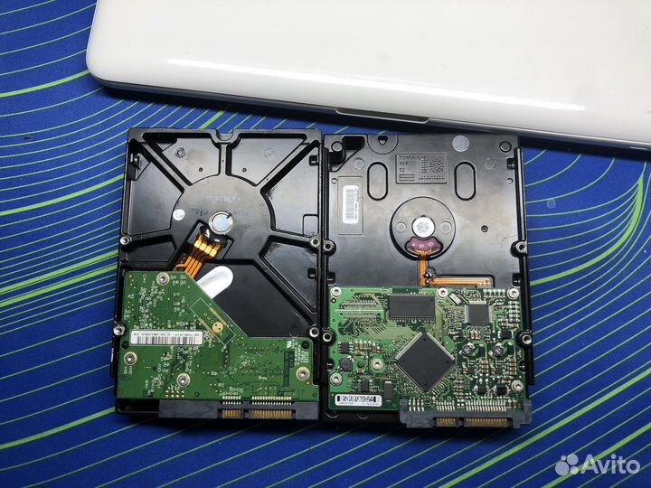 Жесткий диск 500 gb wd