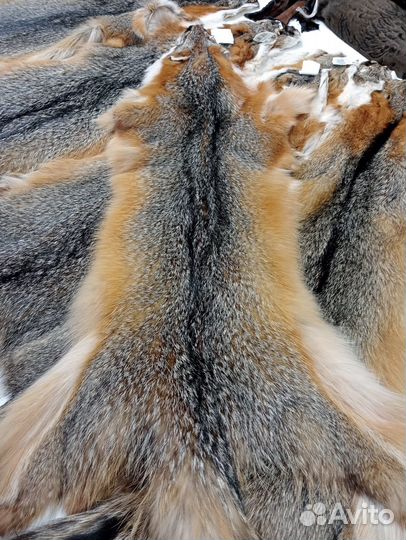 Шкурки лисы, натуральный мех