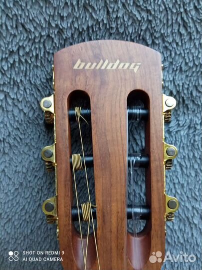 Классическая гитара Bulldog omega 3EQ