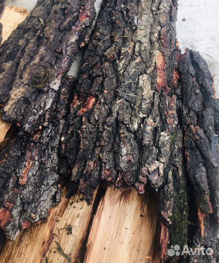 Кора дуба для мульчирования