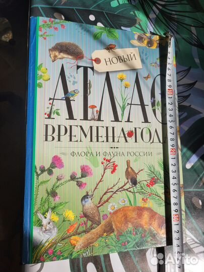 Книга детская энциклопедия Атлас времена года