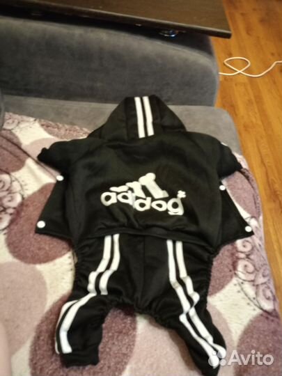 Костюм на флисе для котов и собак мелких пород