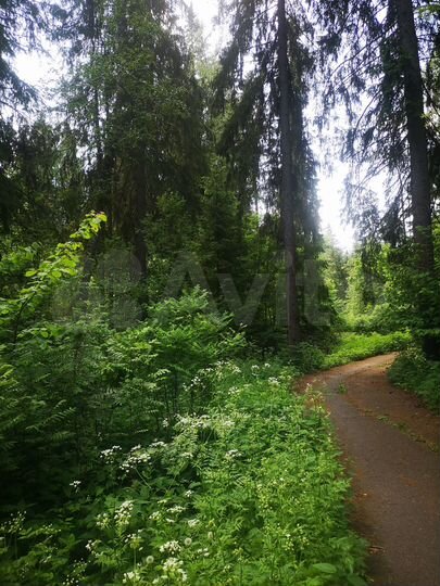 Участок 32 сот. (ИЖС)