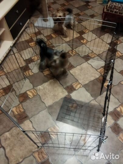 Вольер для собак