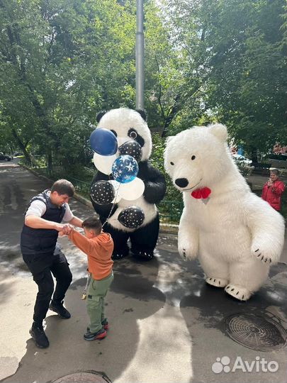 Панда, Медведь, Тедди, поздравление, сюрприз