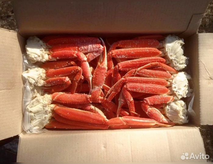Конечности краба стригуна
