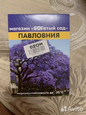 Павловния семена набор купить в Москве | Товары для дома и дачи | Авито