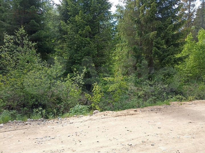 Участок 10 сот. (СНТ, ДНП)