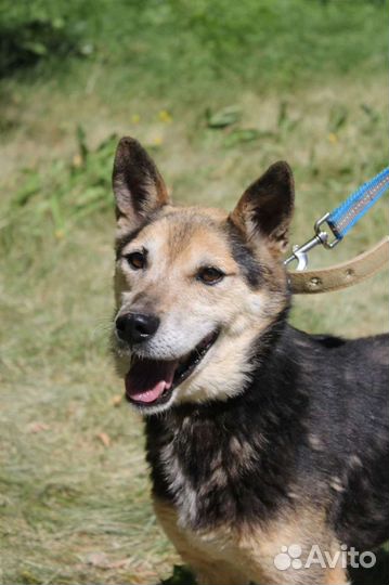 Добряк а никому не нужен а он ждет