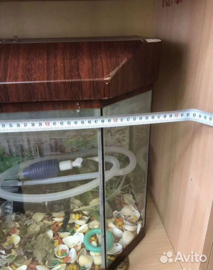 Аквариум